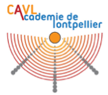 logo CAVL.png